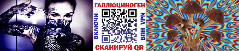 Галлюциногенные грибы Psilocybine cubensis  Купить закладки  Нижняя Тура 