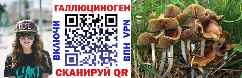 Галлюциногенные грибы Psilocybe Нижняя Тура